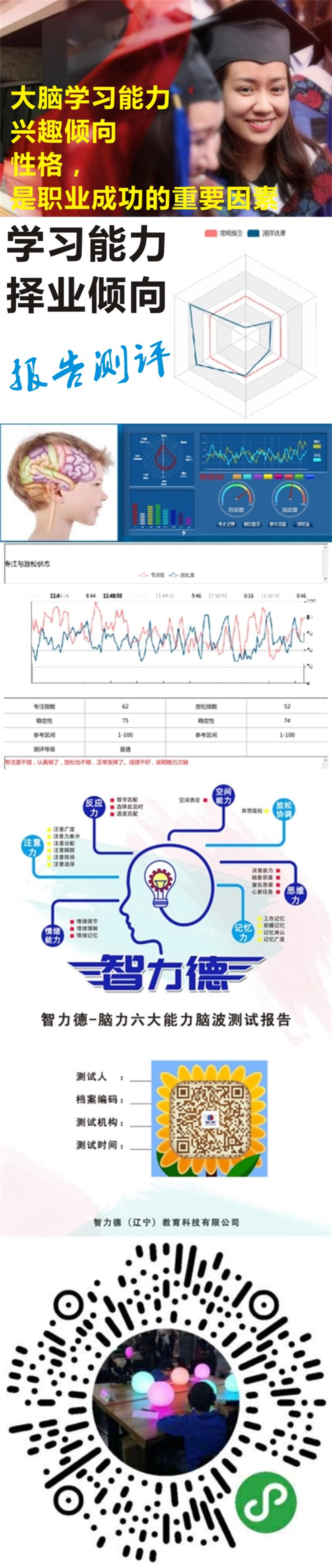 智力德图片2.jpg